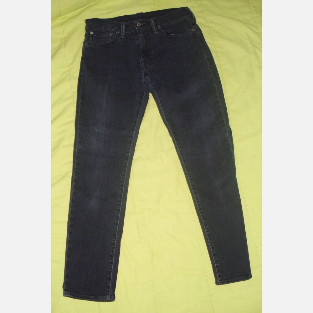 Levi Strauss & Co. Men Blue Jeans 511 Size W30 L30